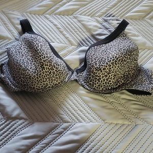 Cheetah Print Bra